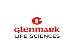 ग्लेनमार्क की API शाखा Glenmark Life Sciences का IPO जुलाई तक मुमकिन - Glenmark Pharmas API Arm Glenmark Life Sciences may launch IPO in July to raise up to Rs 1,700 crore